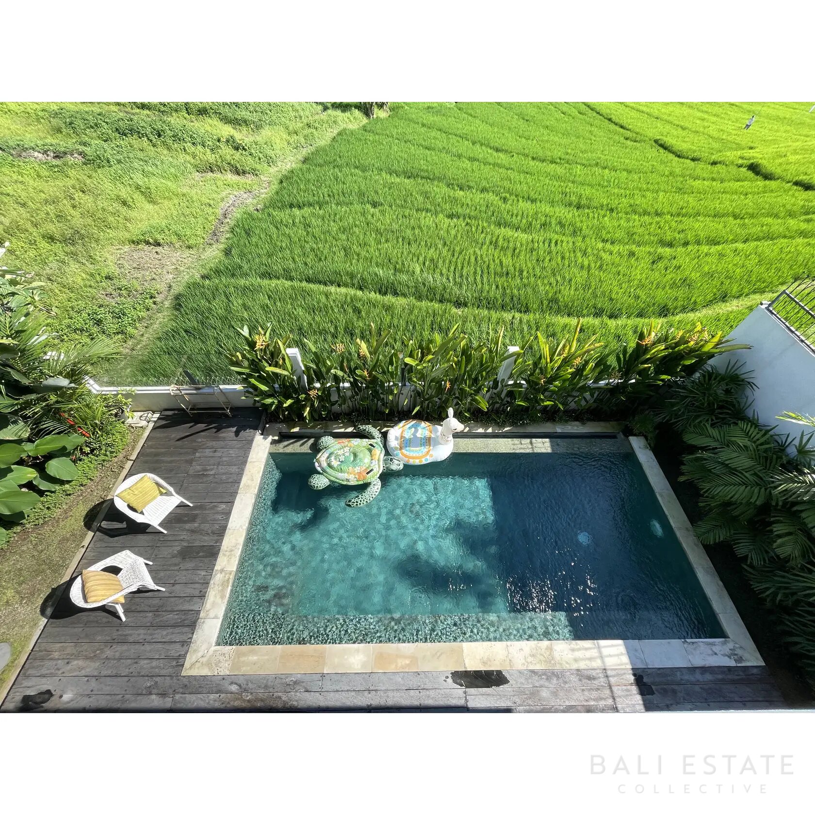 Photo of 3BR VILLA RICE FIELD VIEW - NORTH CANGGU